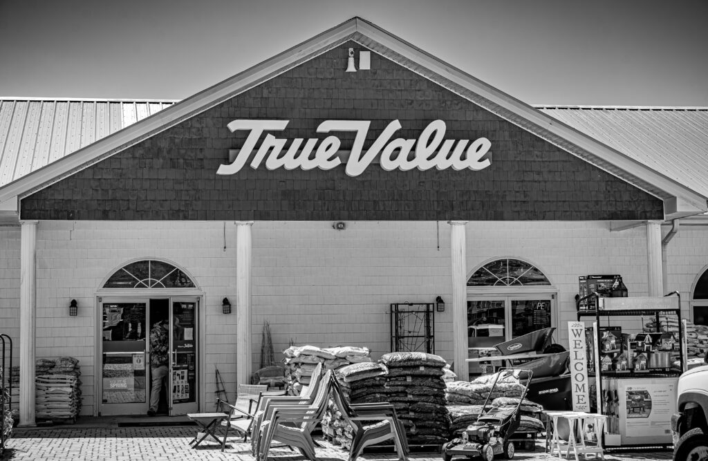 DSC01117-Enhanced-NR